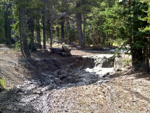 ATV Damage on Colorado Forest Road 318