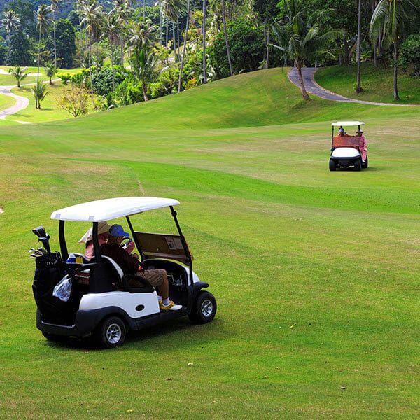 Carlisle Smooth Tire: Perfect for the Putting Green