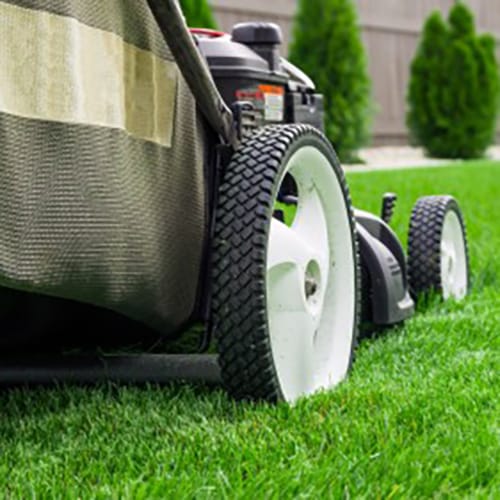 The Grass is Growing!