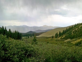 Tellurium Creek Trail Meadow