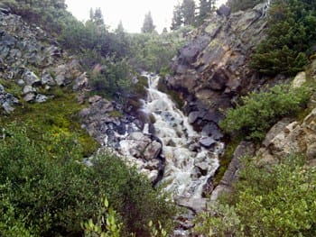 Trail